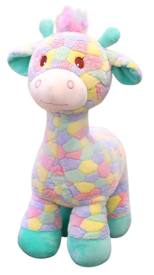 Jiarafa Arcoiris CHIKY NYNO